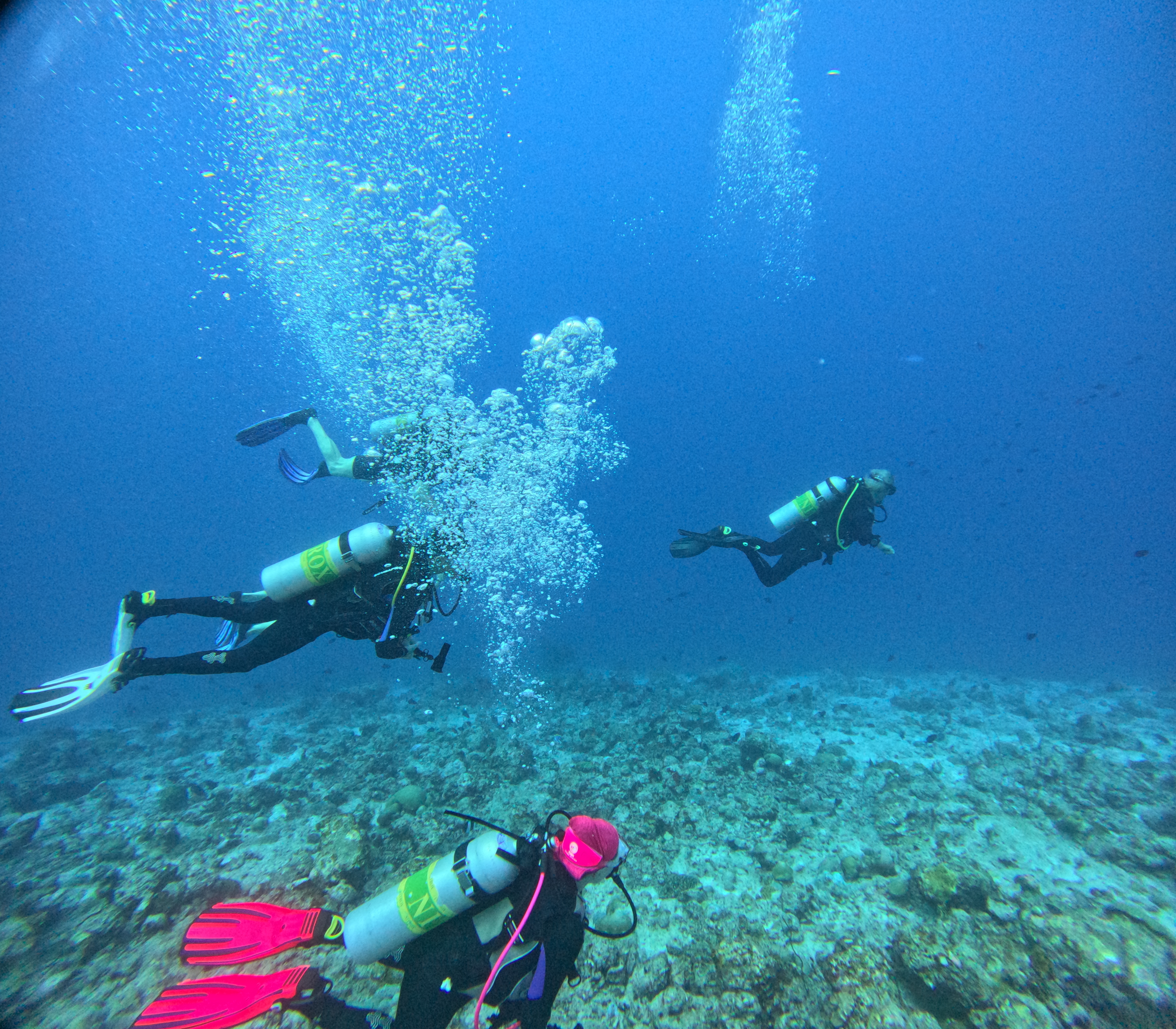 Scuba Diving