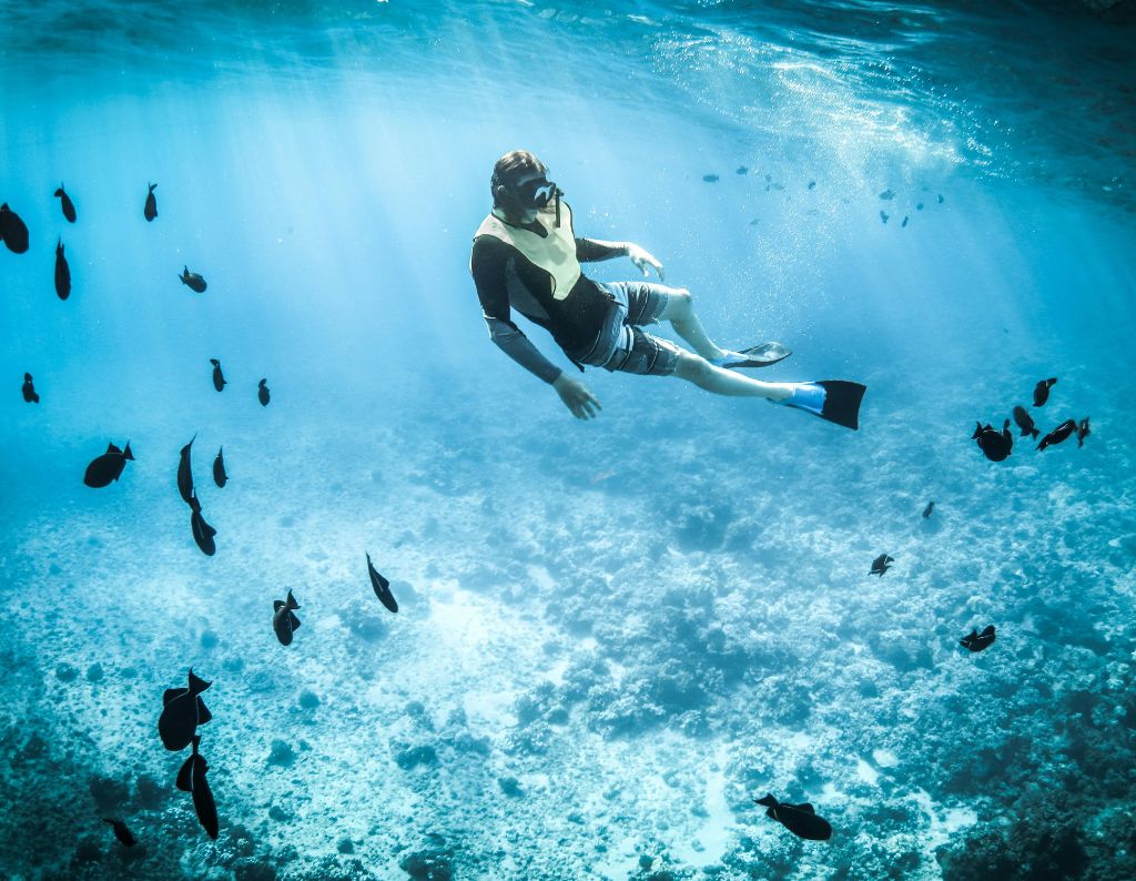 Snorkeling