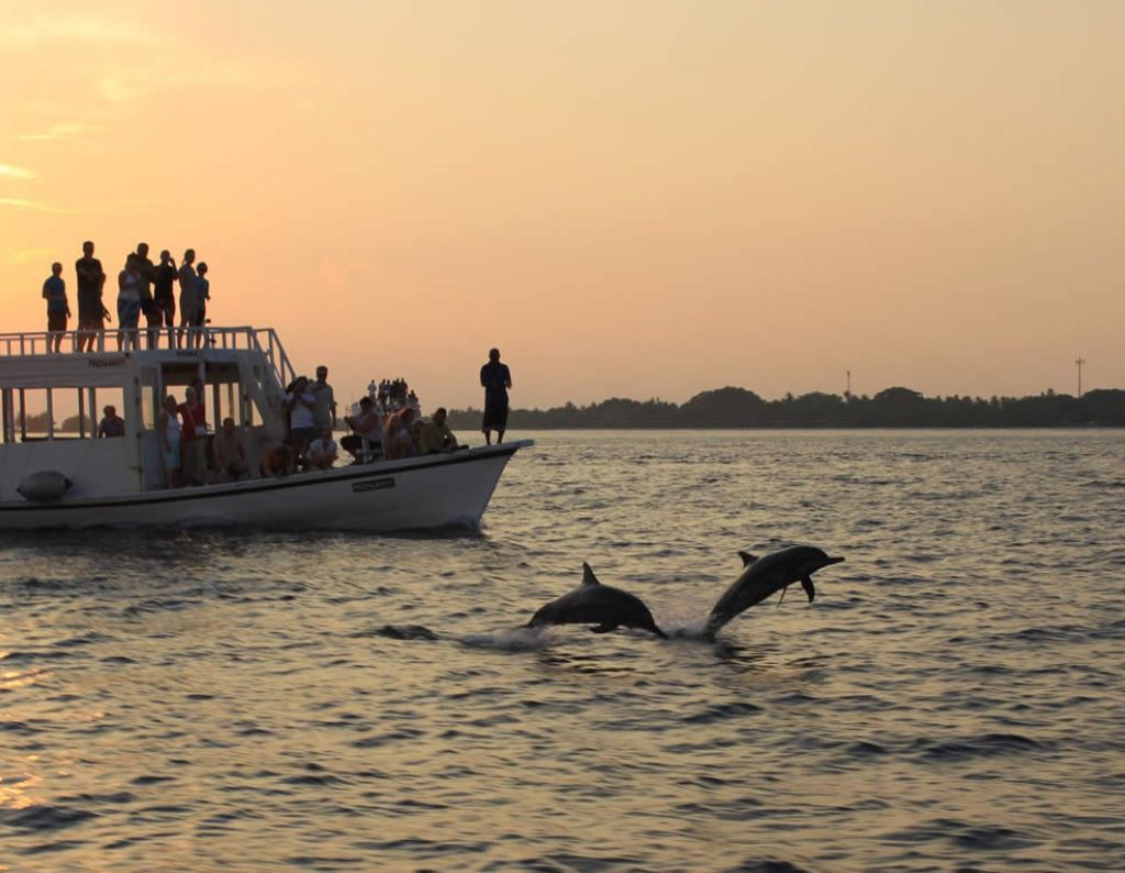 Sunset Cruise